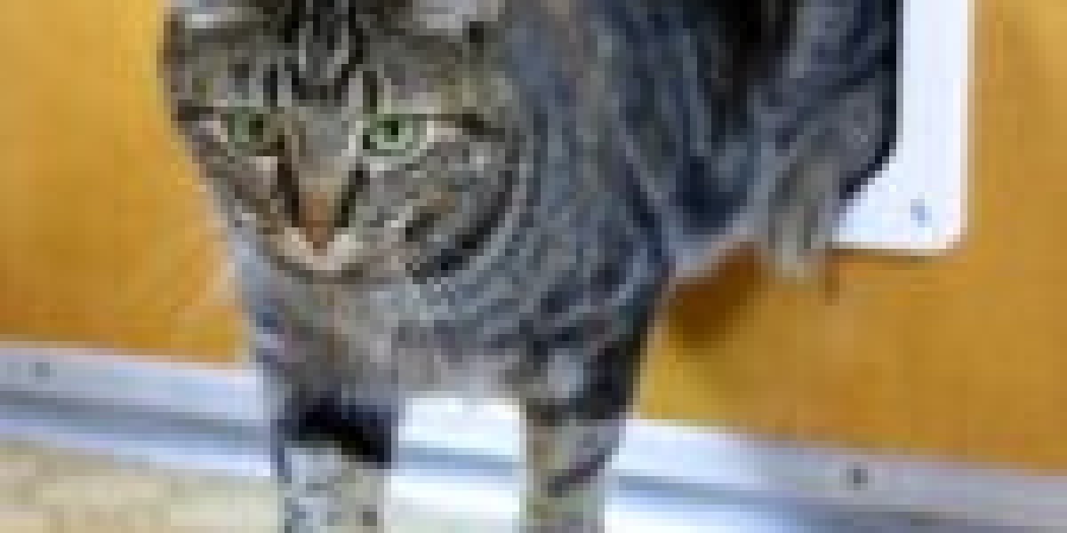 Why You'll Need To Learn More About Cat Door Contractor