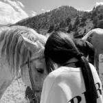 VietLe Profile Picture