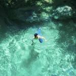 harry Profile Picture