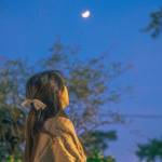 traidsoft Profile Picture