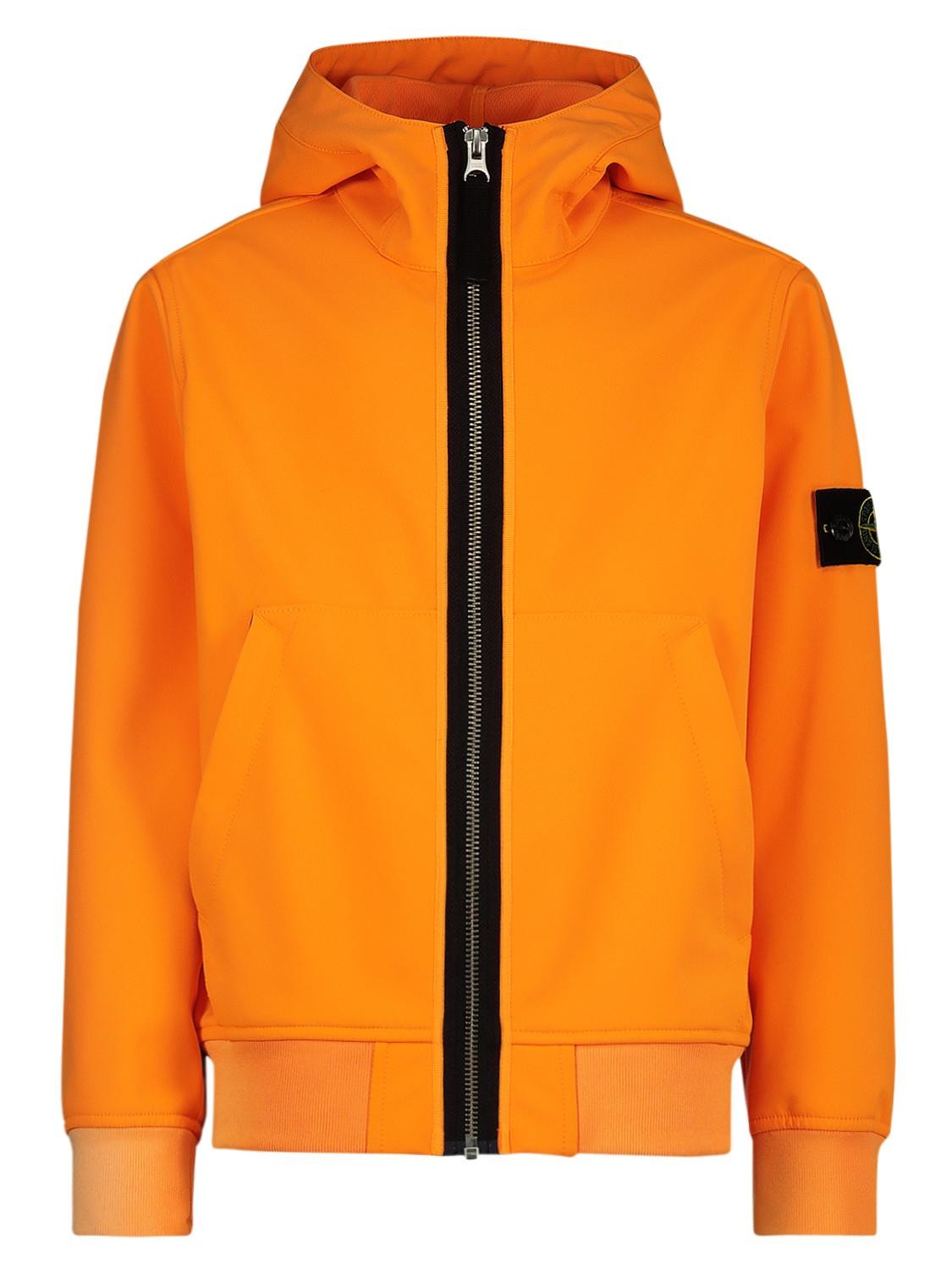 essential hoodie Profile Picture