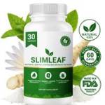 slimlebiotand Profile Picture