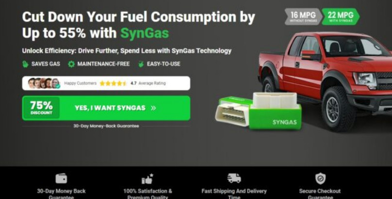 SynGas Erfahrungen Profile Picture