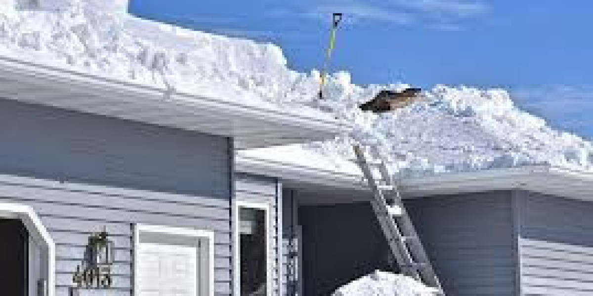 Professional Rooftop Snow Removal for Safe Homes